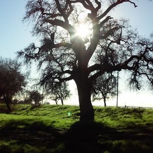 Meet your Posher, Trisha